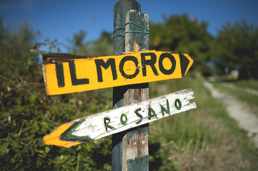 Country Room Il Moro Rignano sullʼArno Екстериор снимка