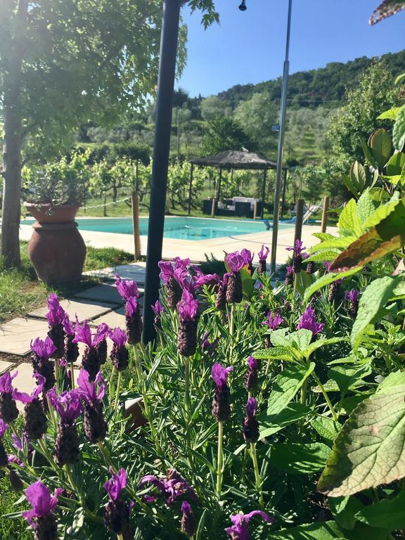Country Room Il Moro Rignano sullʼArno Екстериор снимка
